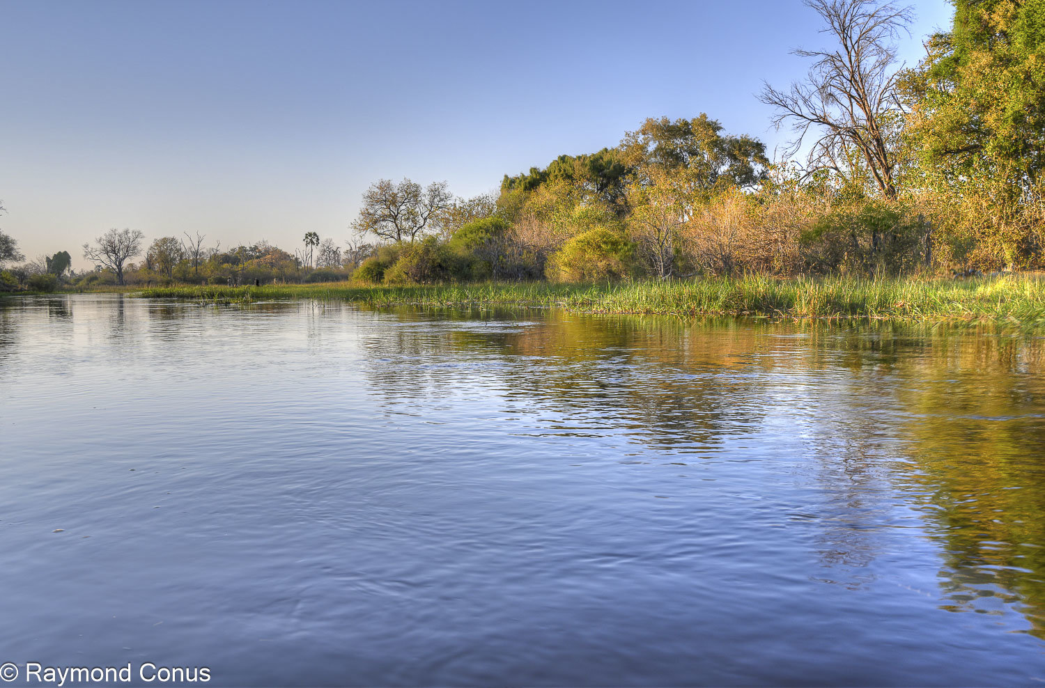 Delta de l'Okavango (28)
