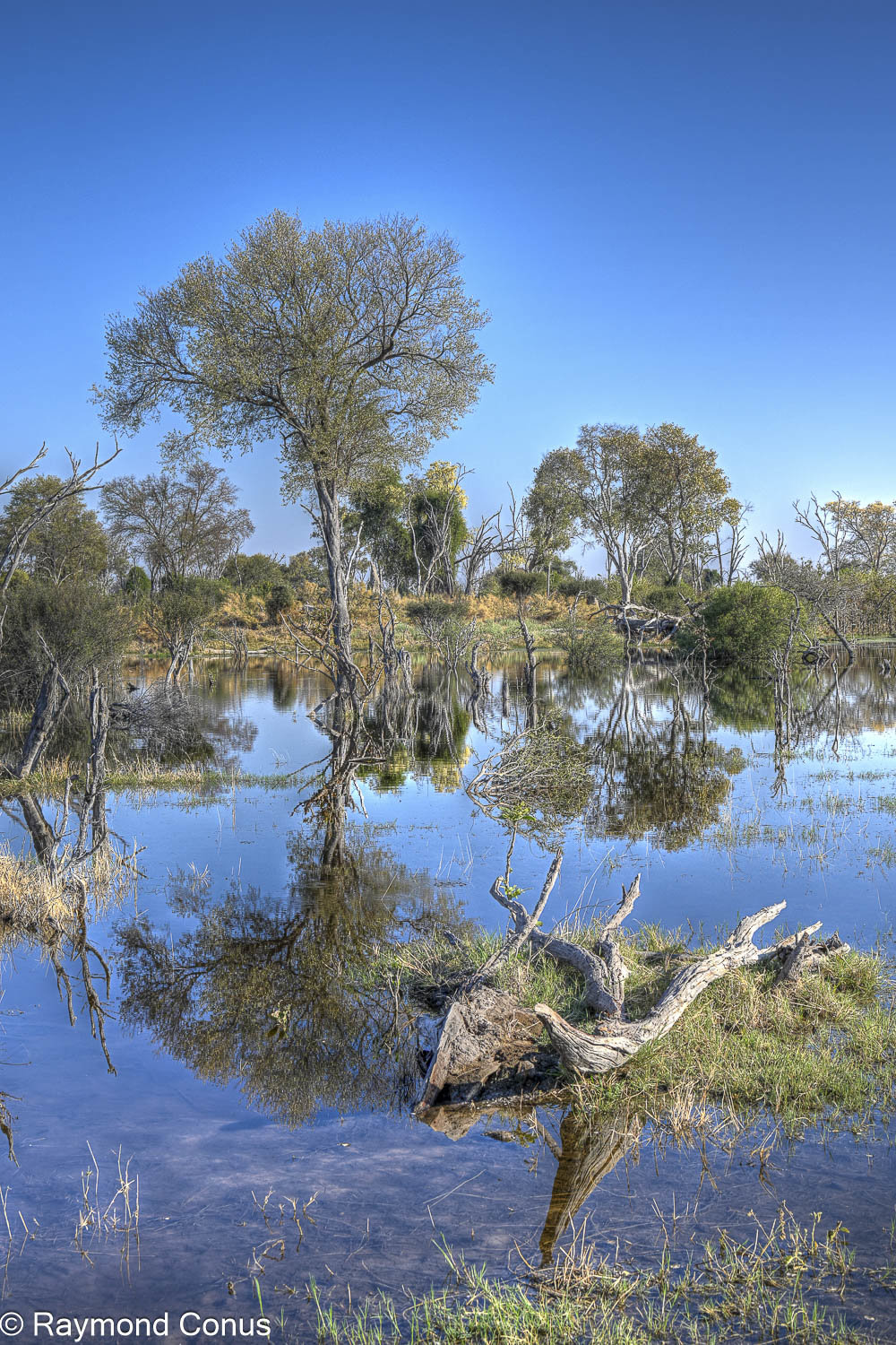Delta de l'Okavango (34)
