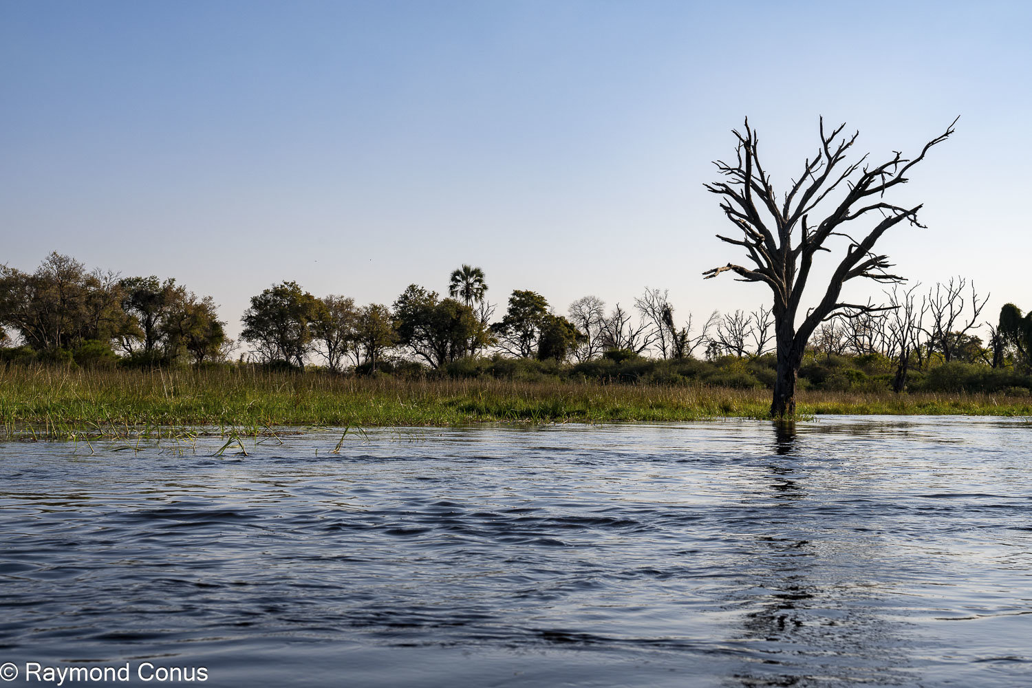Delta de l'Okavango (8)
