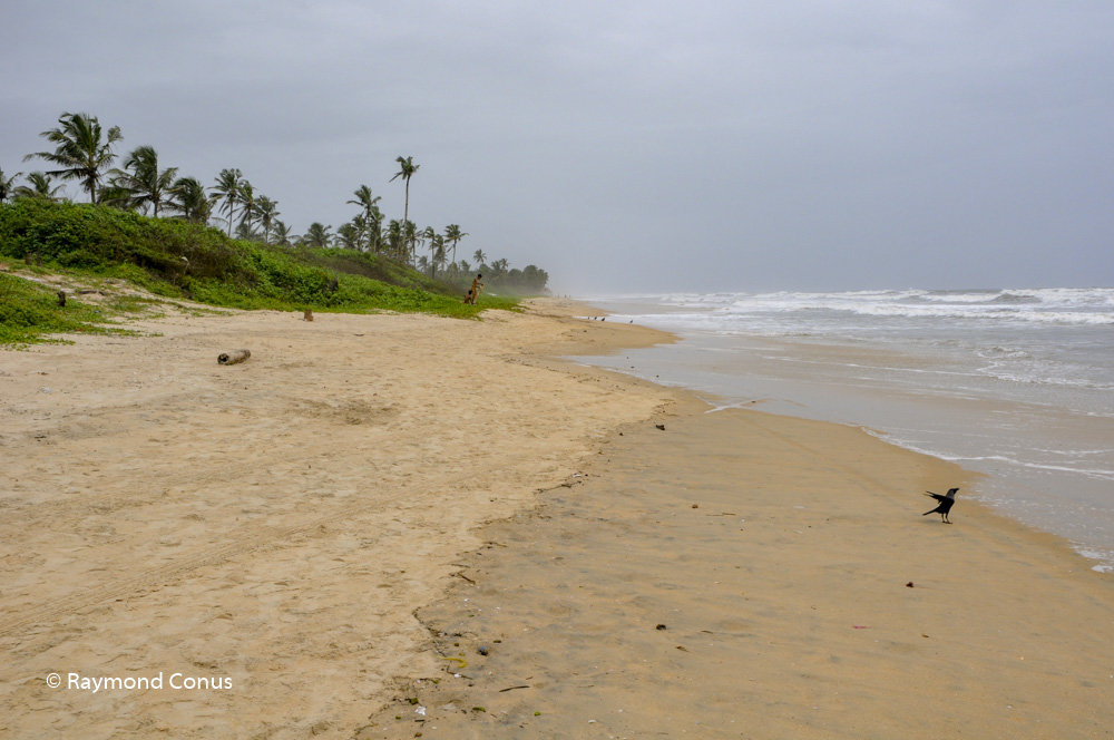 Goa (4)
