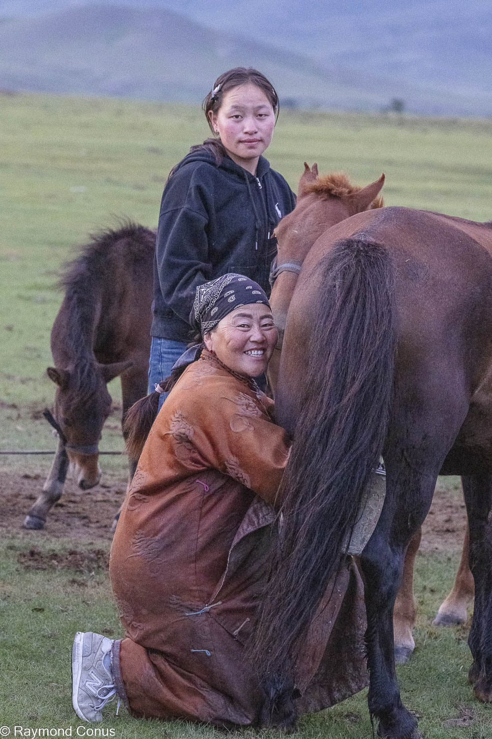 Horses (16)