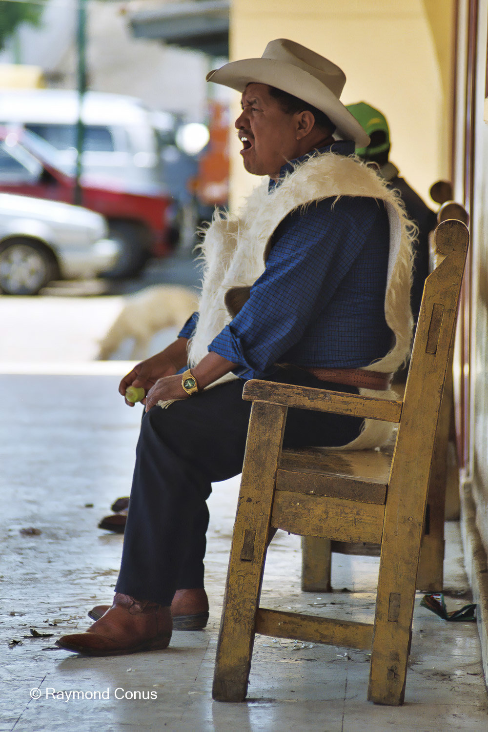 Mexicans (20)
