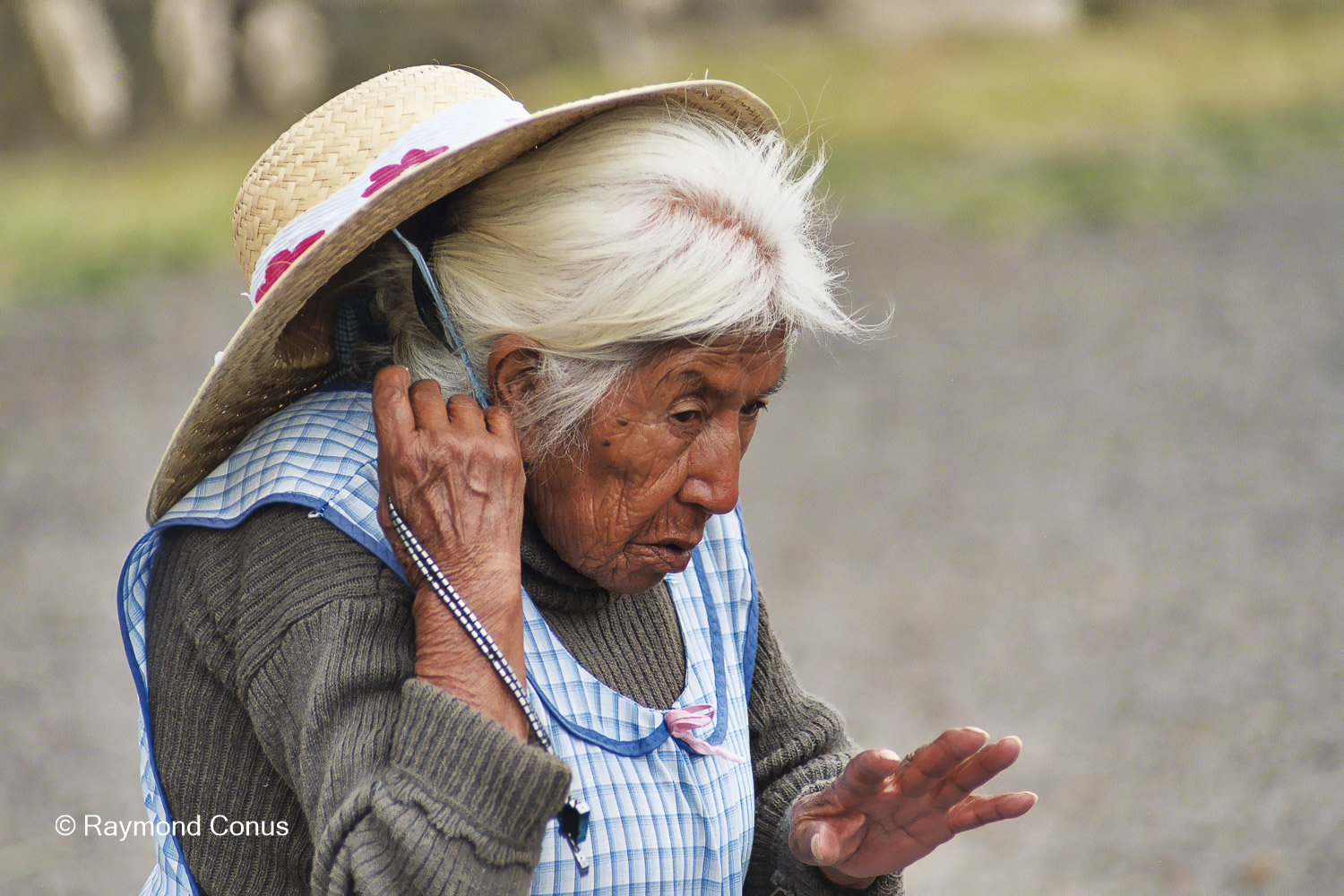 Mexicans (26)