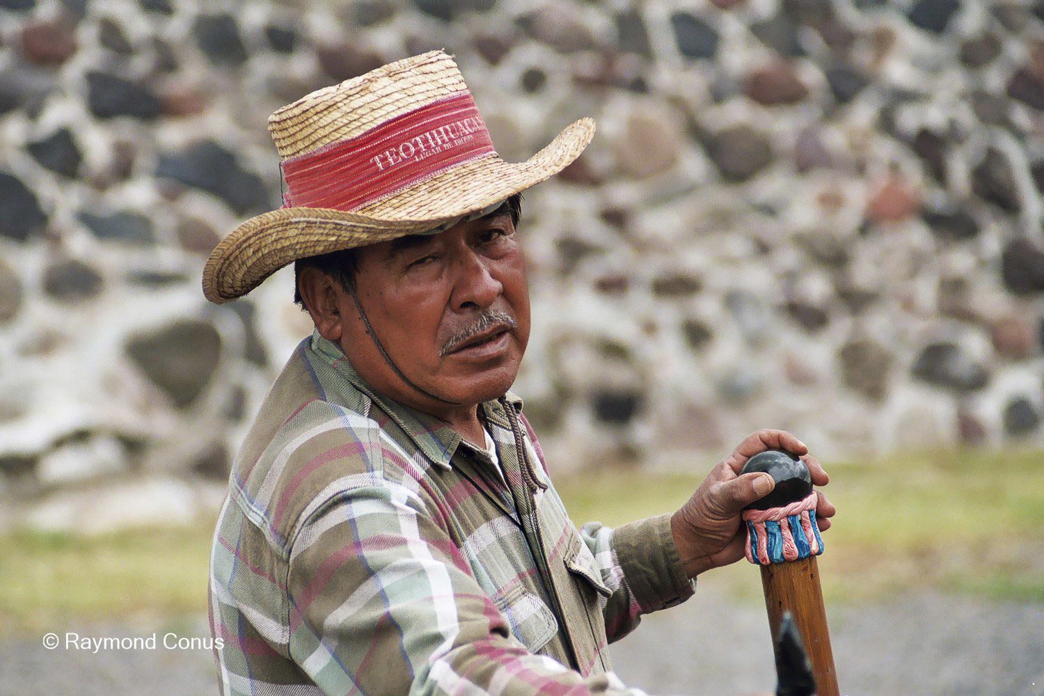 Mexicans (29)