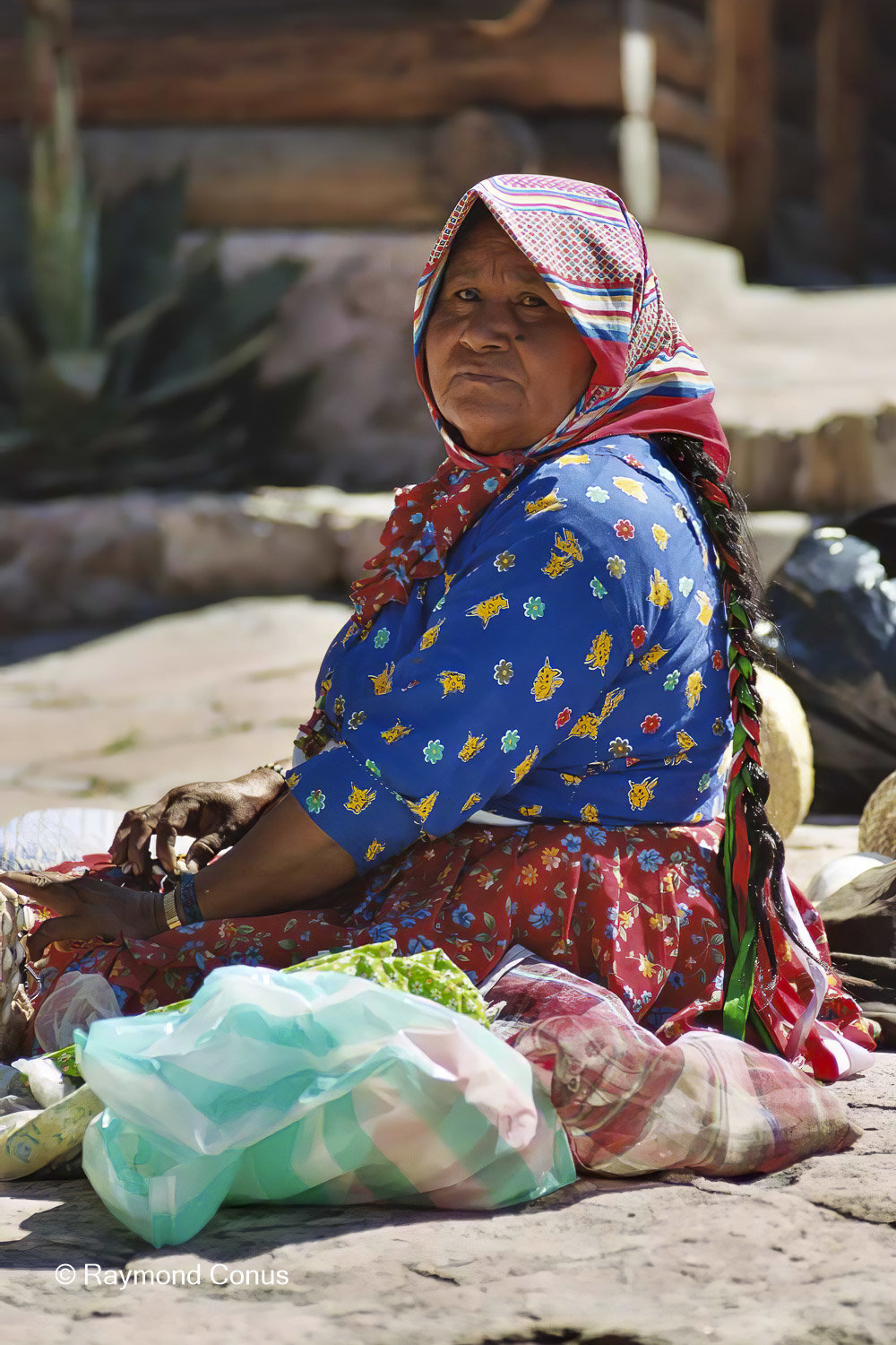 Mexicans (3)