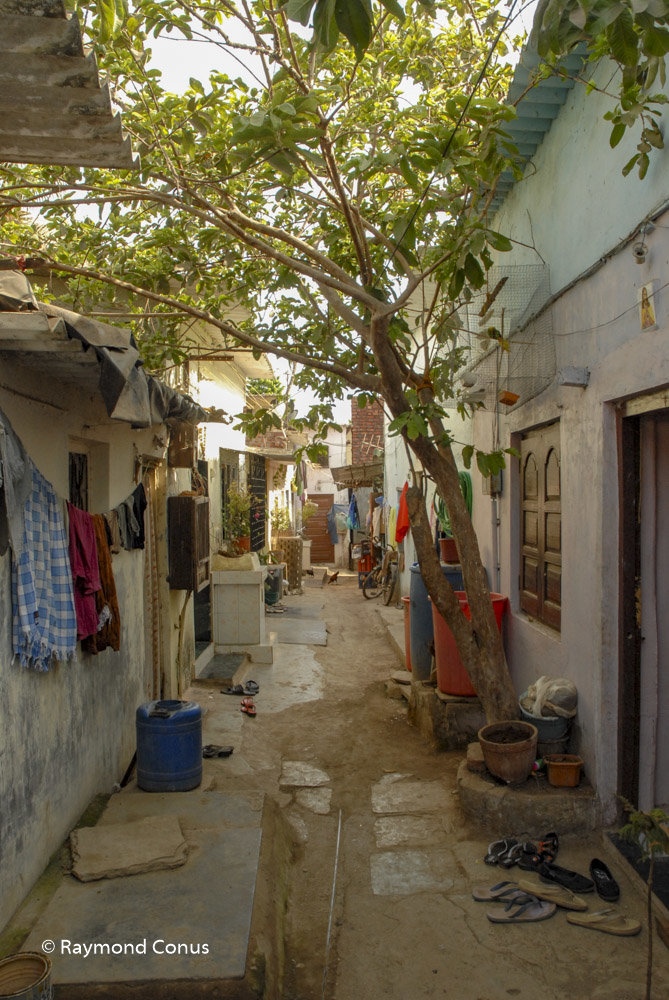 Mumbai (15)