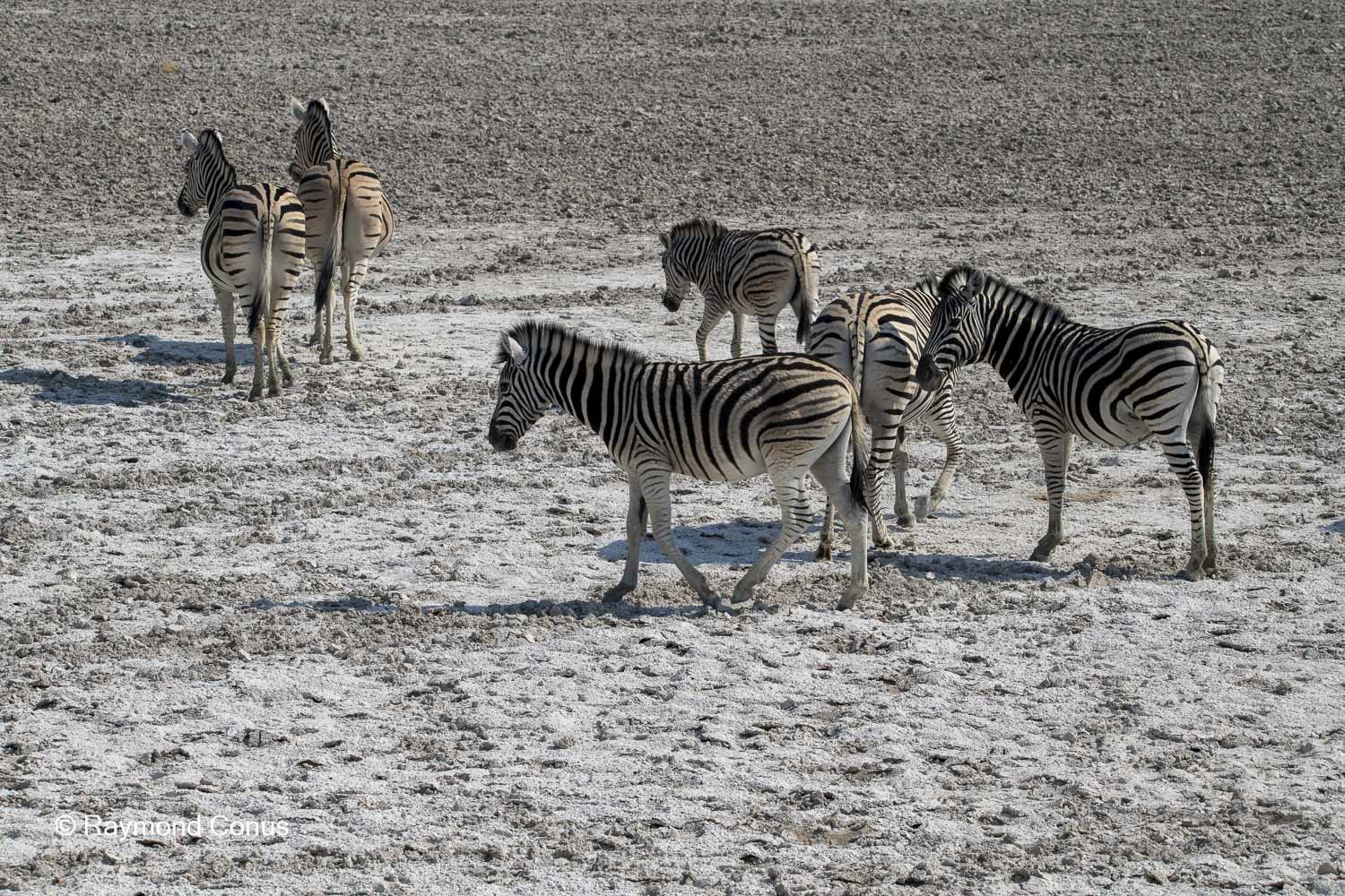 Namibia (107)