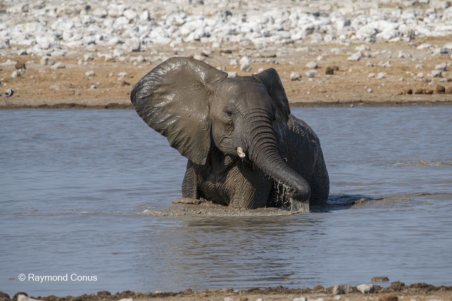 Namibia (119)