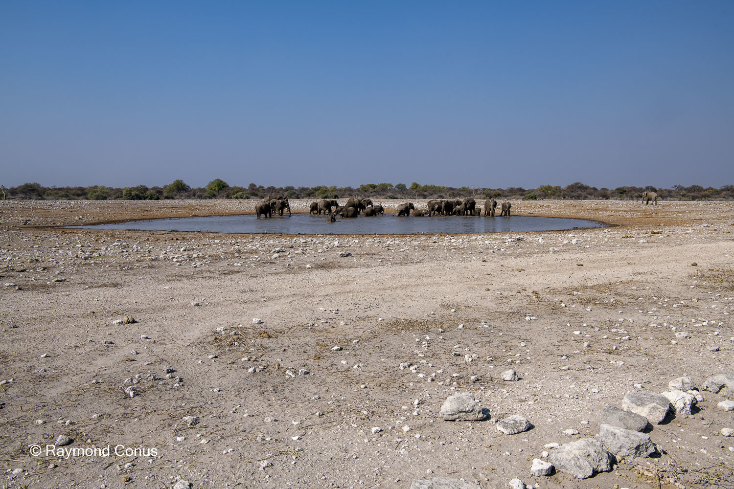 Namibia (120)