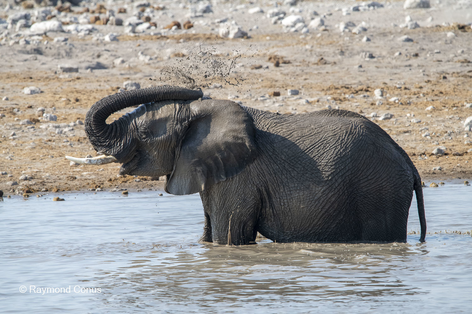 Namibia (122)