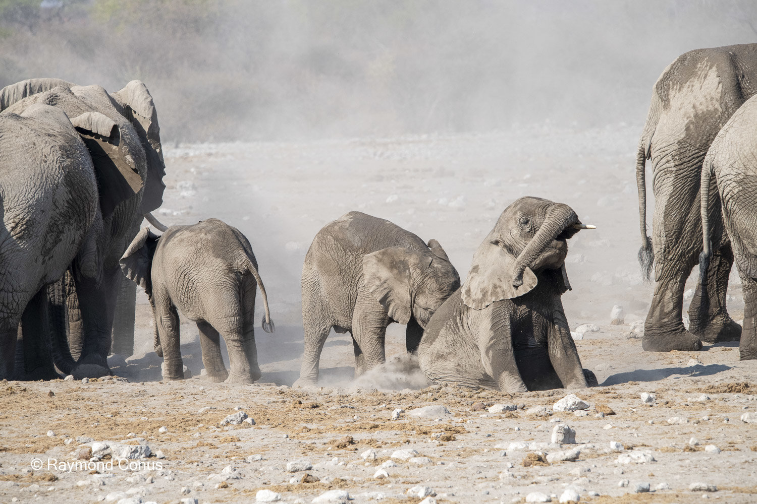 Namibia (123)