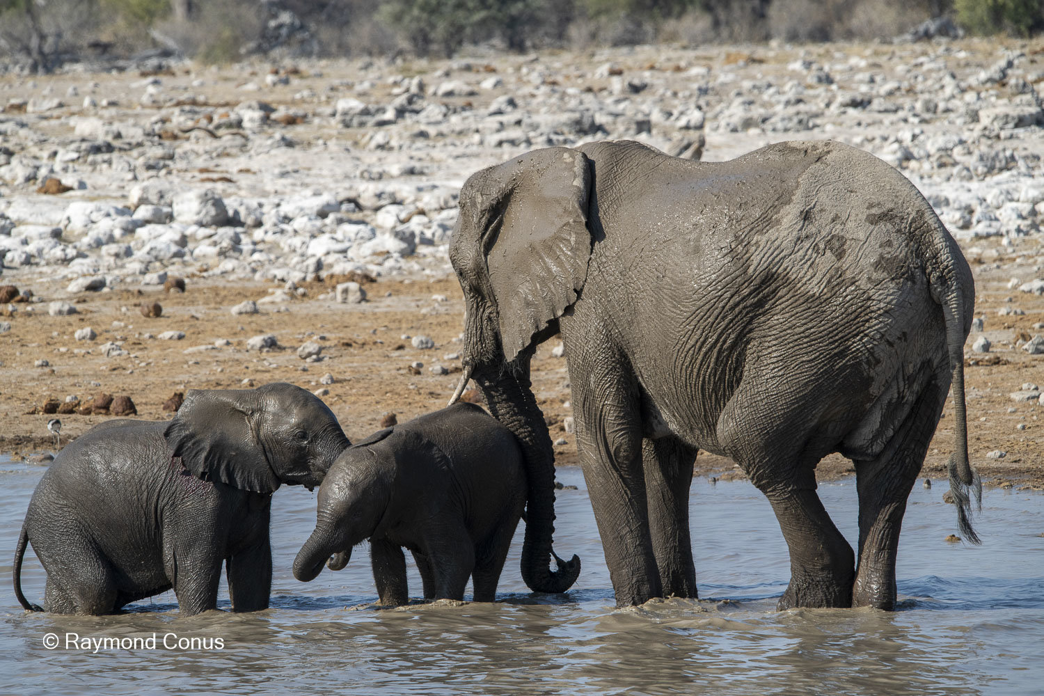 Namibia (124)