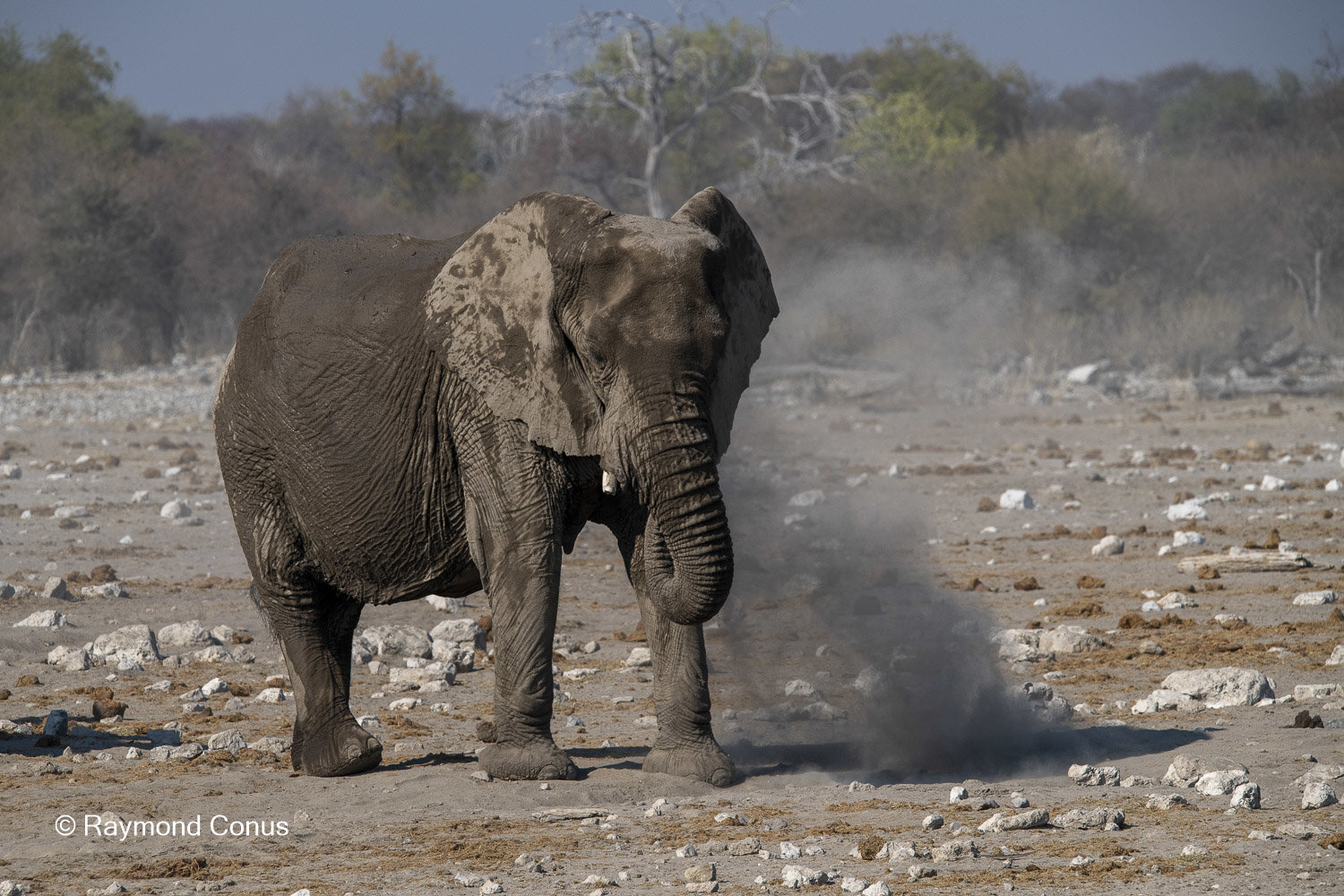 Namibia (125)