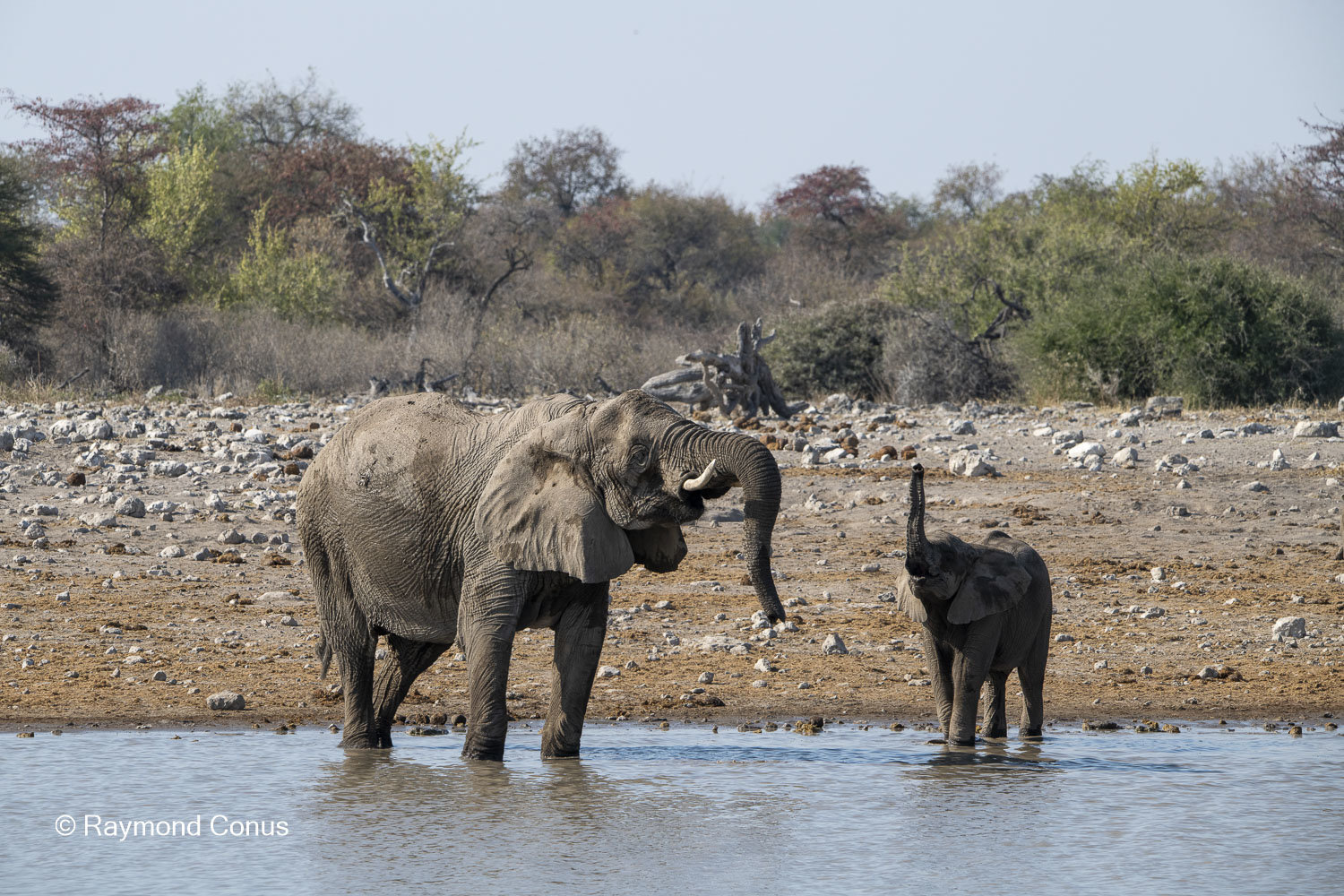 Namibia (126)