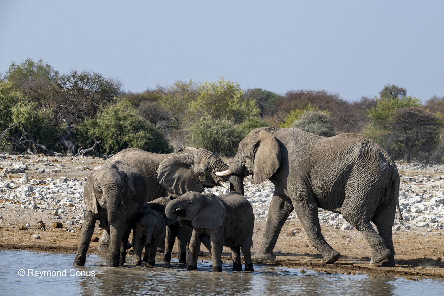 Namibia (127)