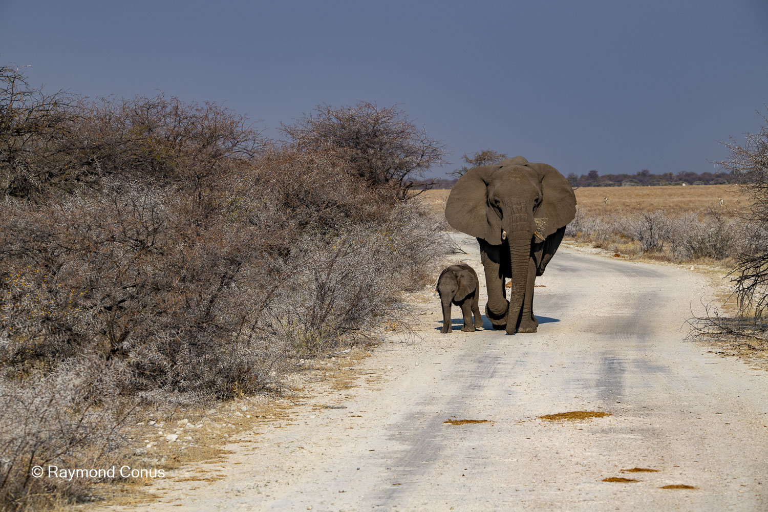 Namibia (128)