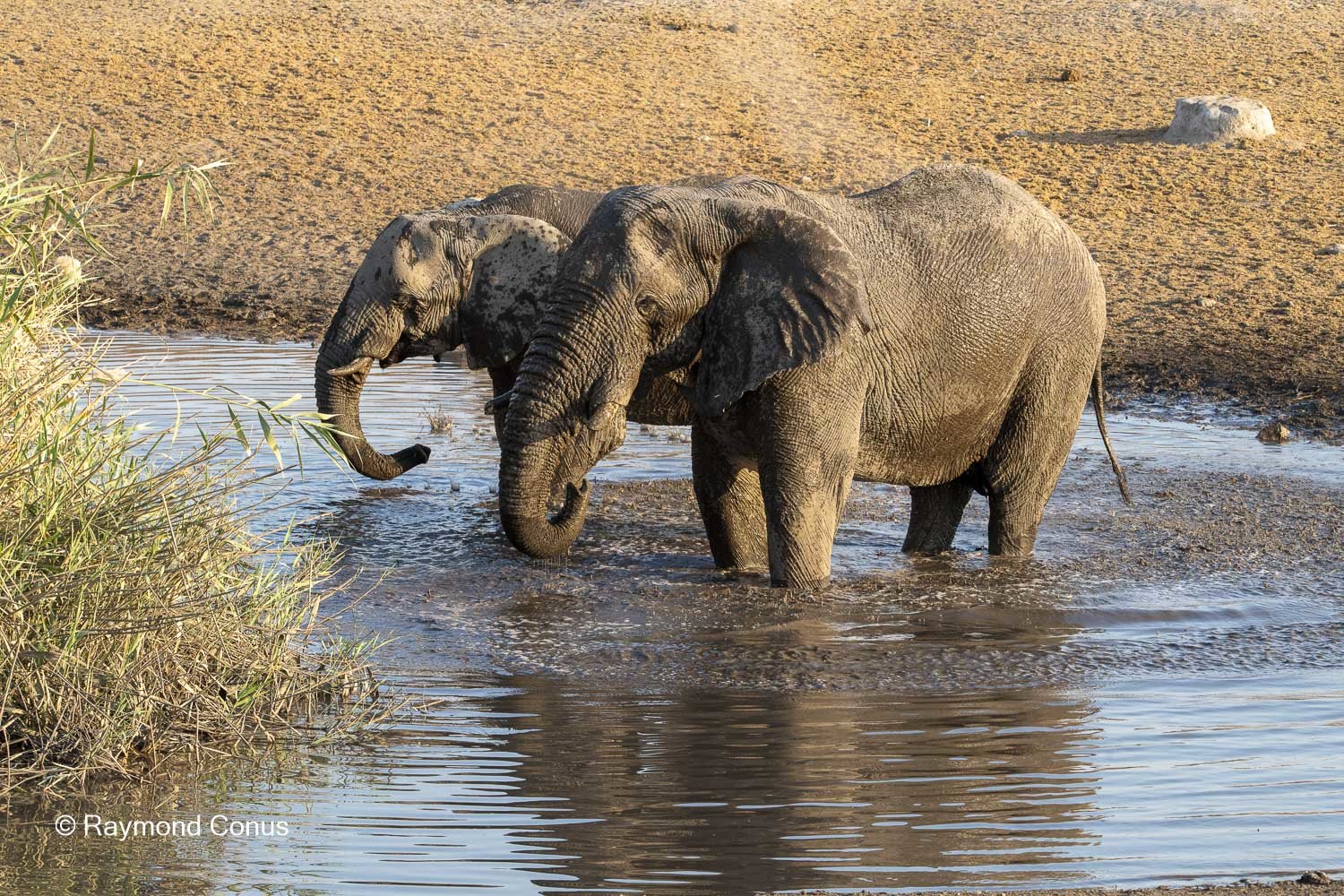 Namibia (132)