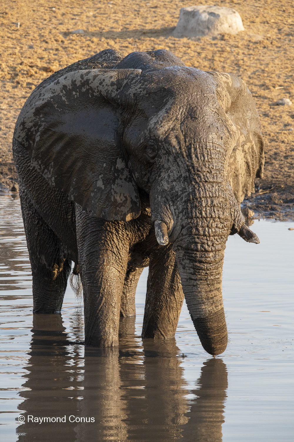 Namibia (133)