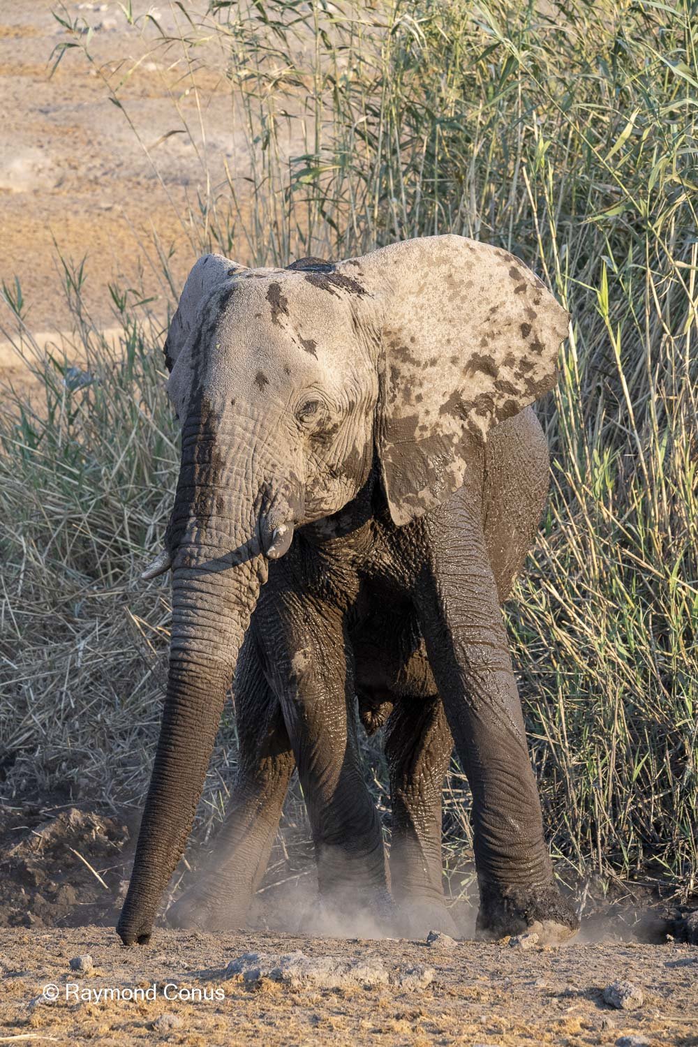 Namibia (134)