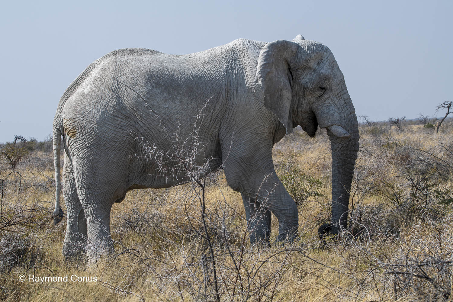 Namibia (136)