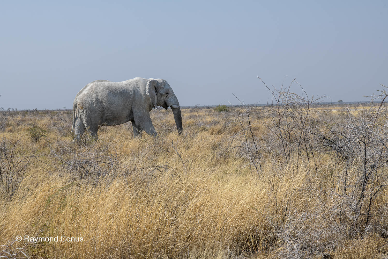 Namibia (139)