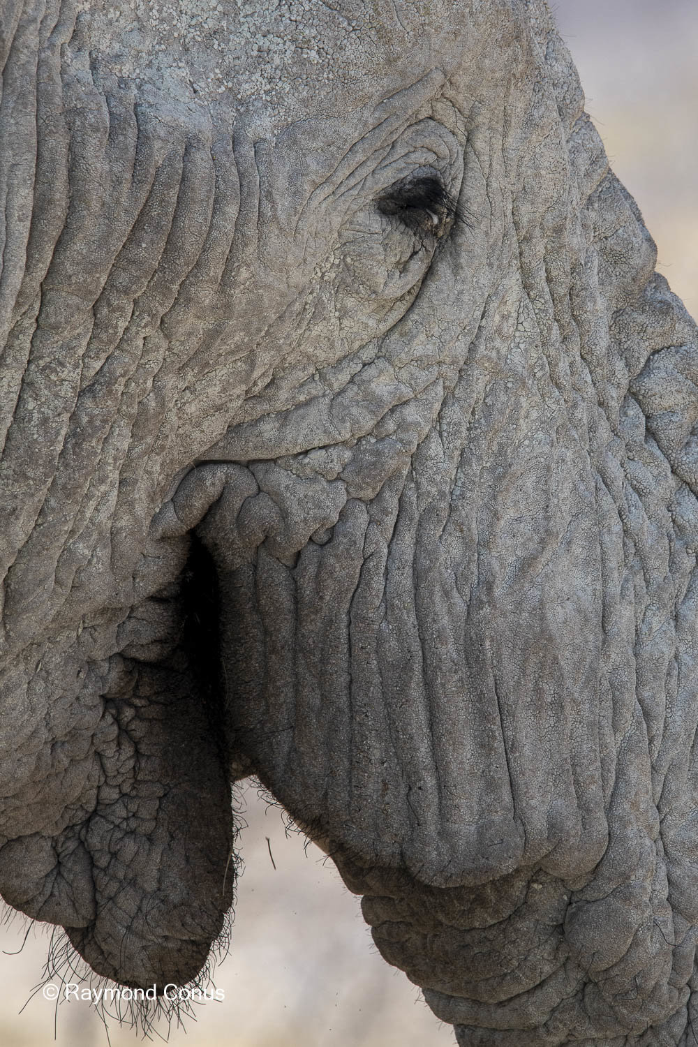 Namibia (140)