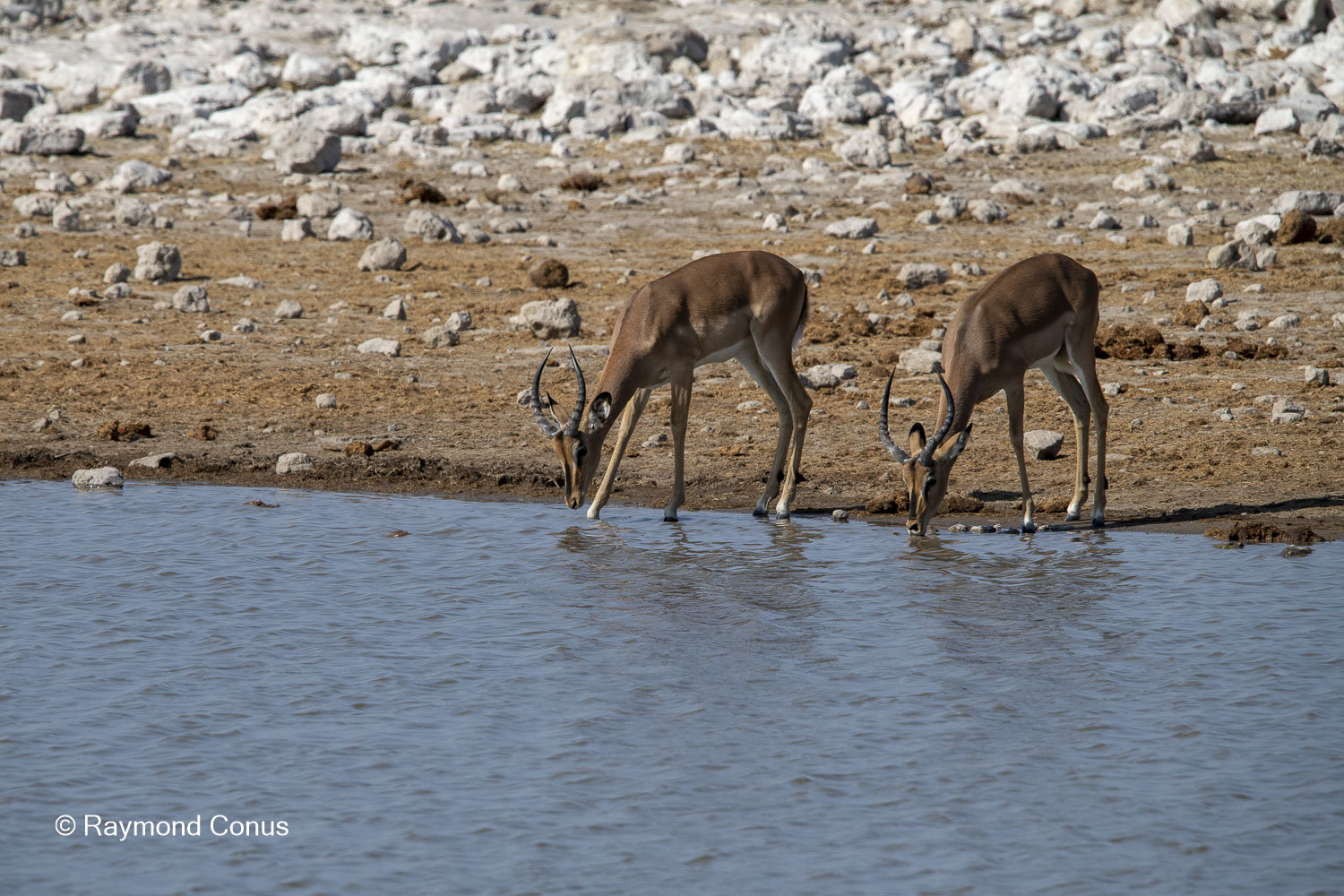Namibia (143)