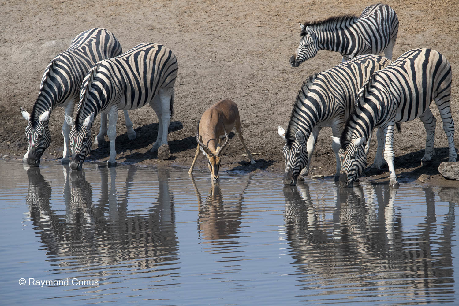 Namibia (147)