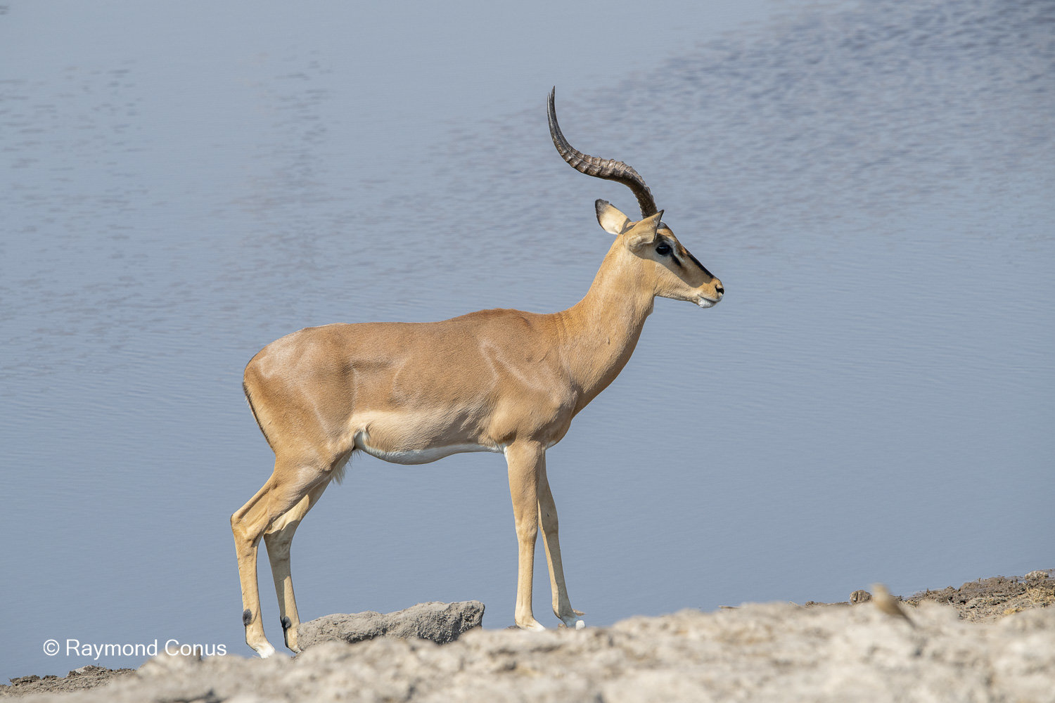 Namibia (149)