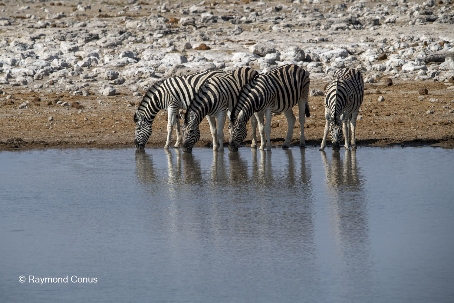 Namibia (83)