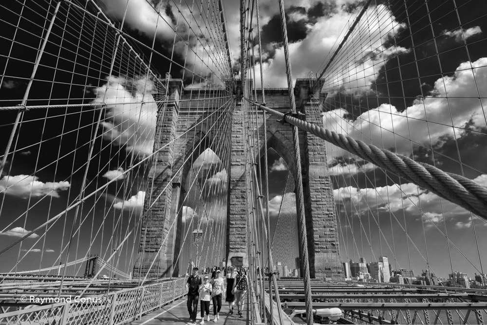 New York (10)