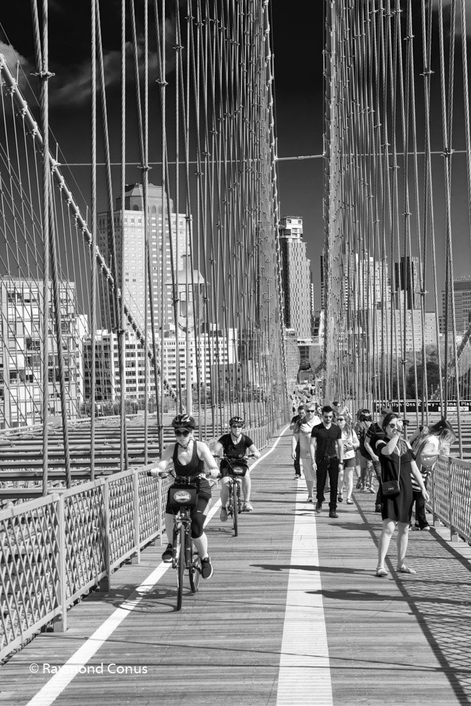 New York (12)