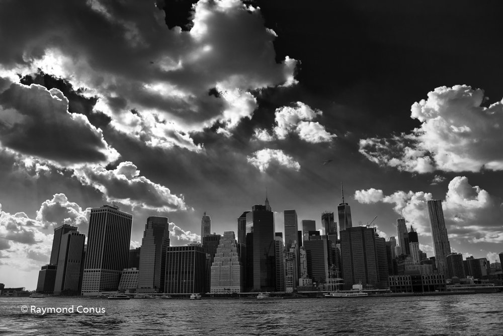 New York (13)