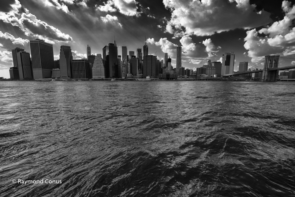New York (14)