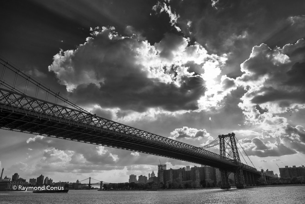 New York (17)
