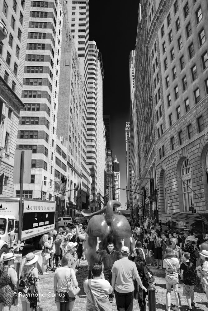 New York (21)