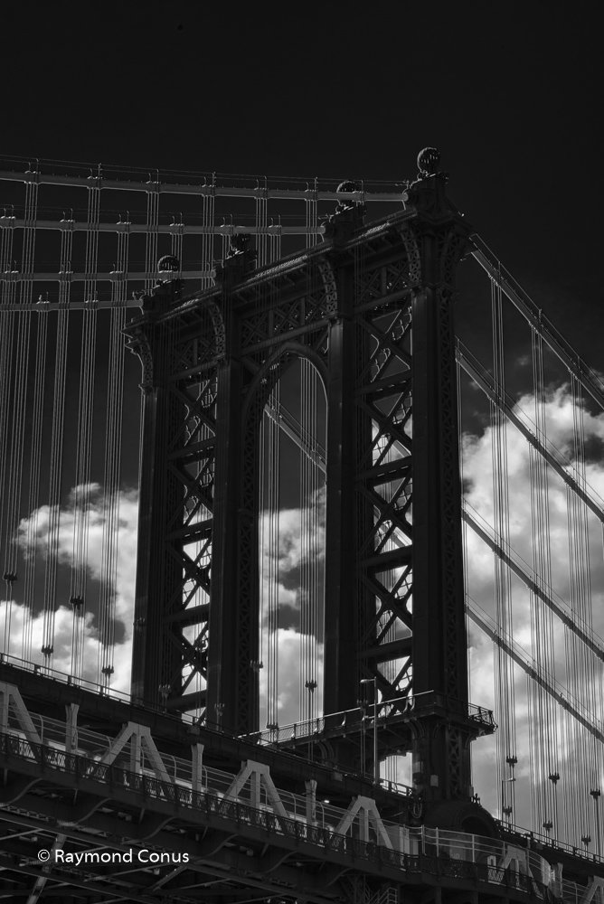 New York (23)