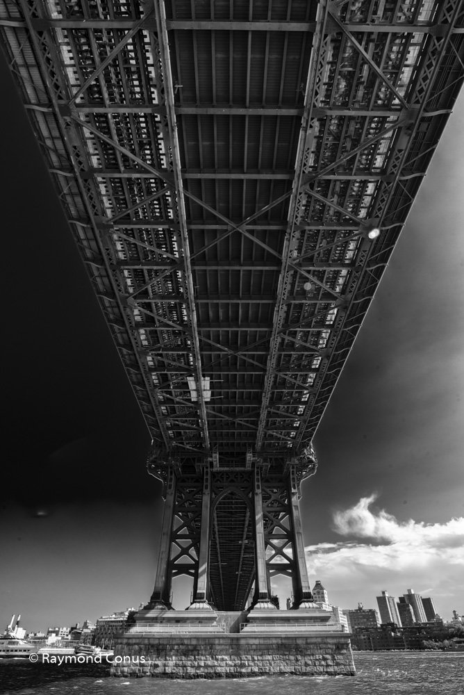 New York (24)