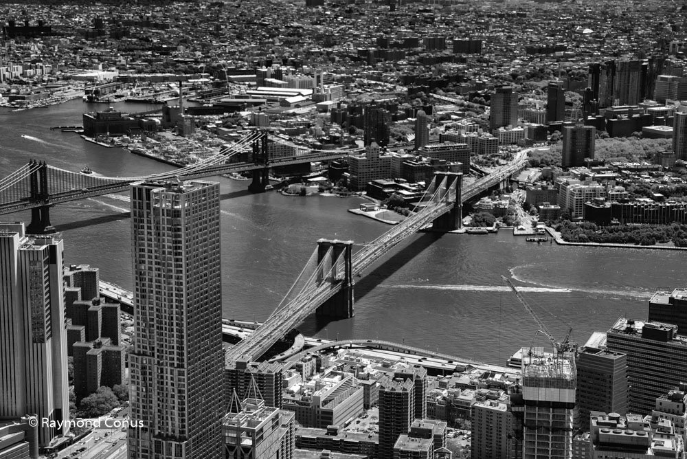 New York (4)