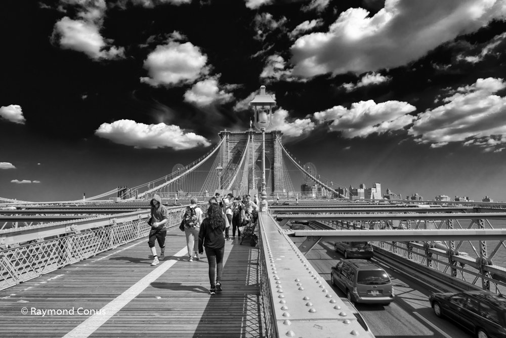 New York (7)