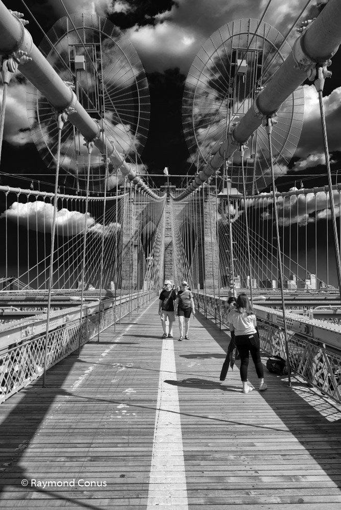 New York (8)