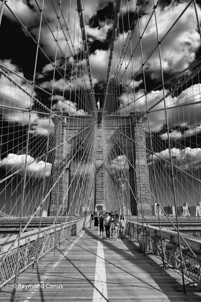 New York (9)