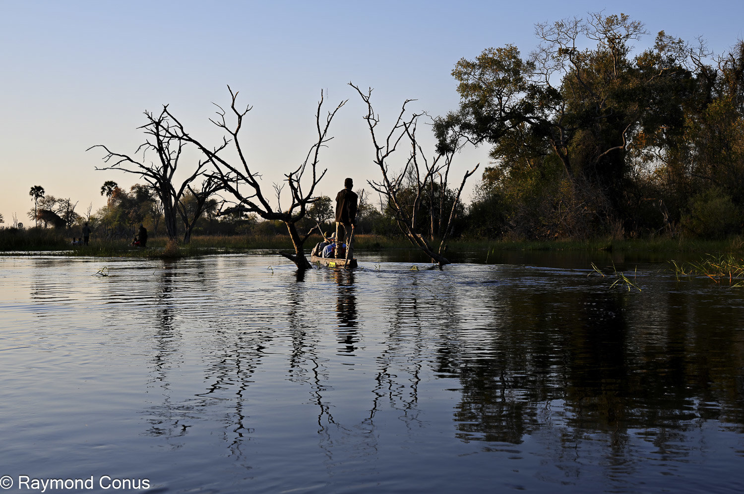 Okavango Delta (20)