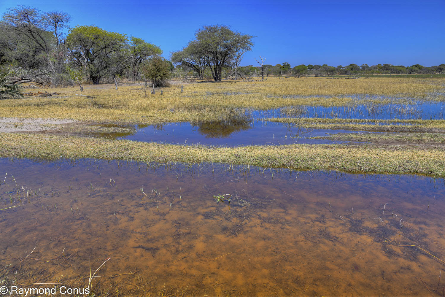 Okavango Delta (2)