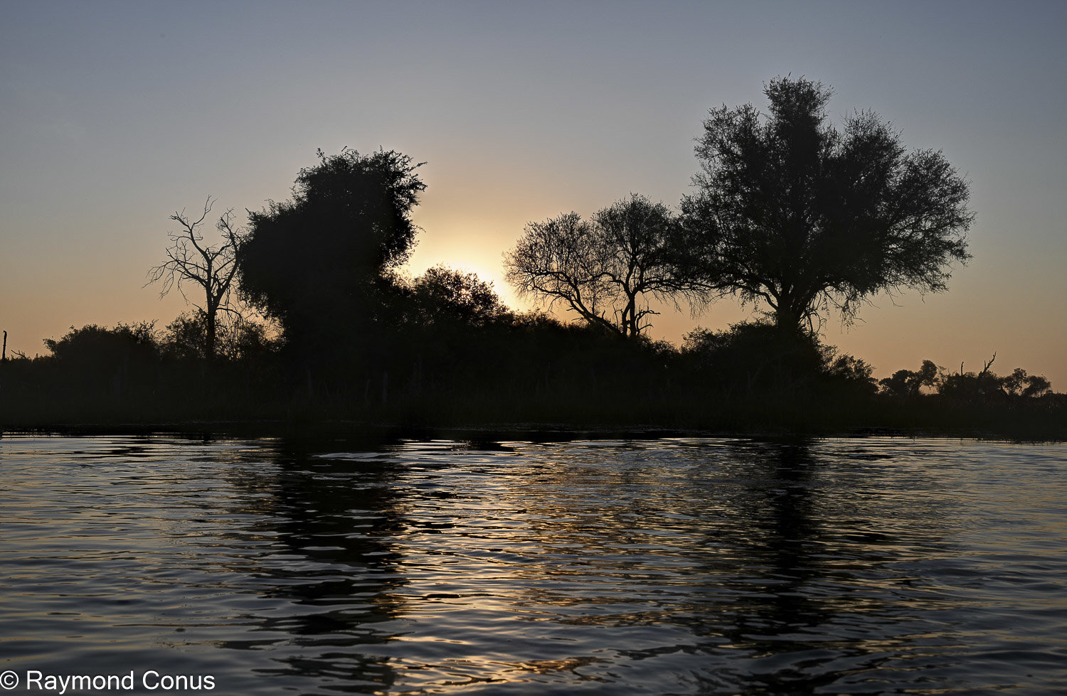 Okavango Delta (50)