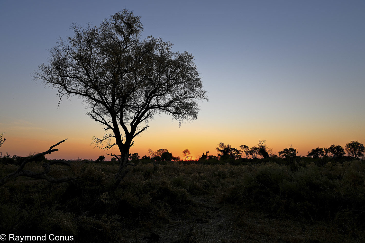 Okavango Delta (55)