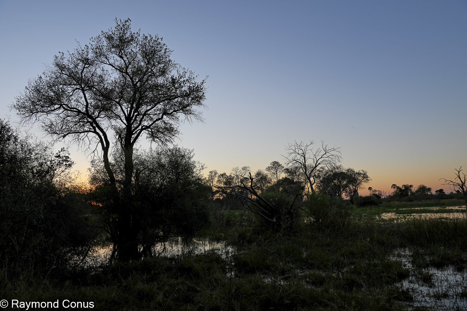 Okavango Delta (56)
