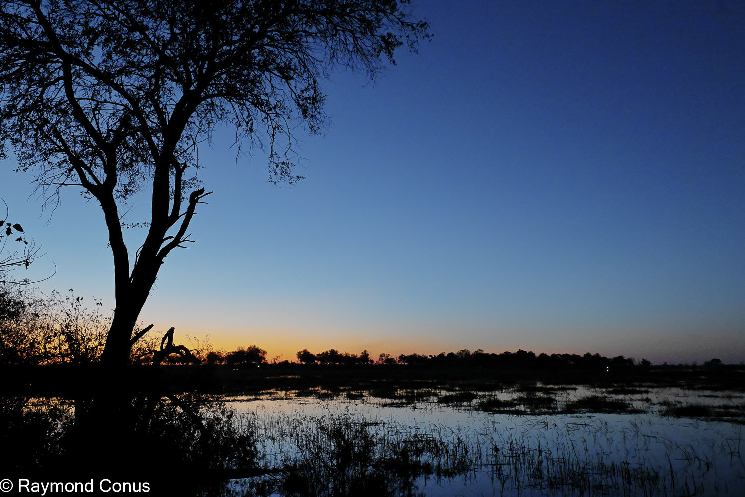 Okavango Delta (64)