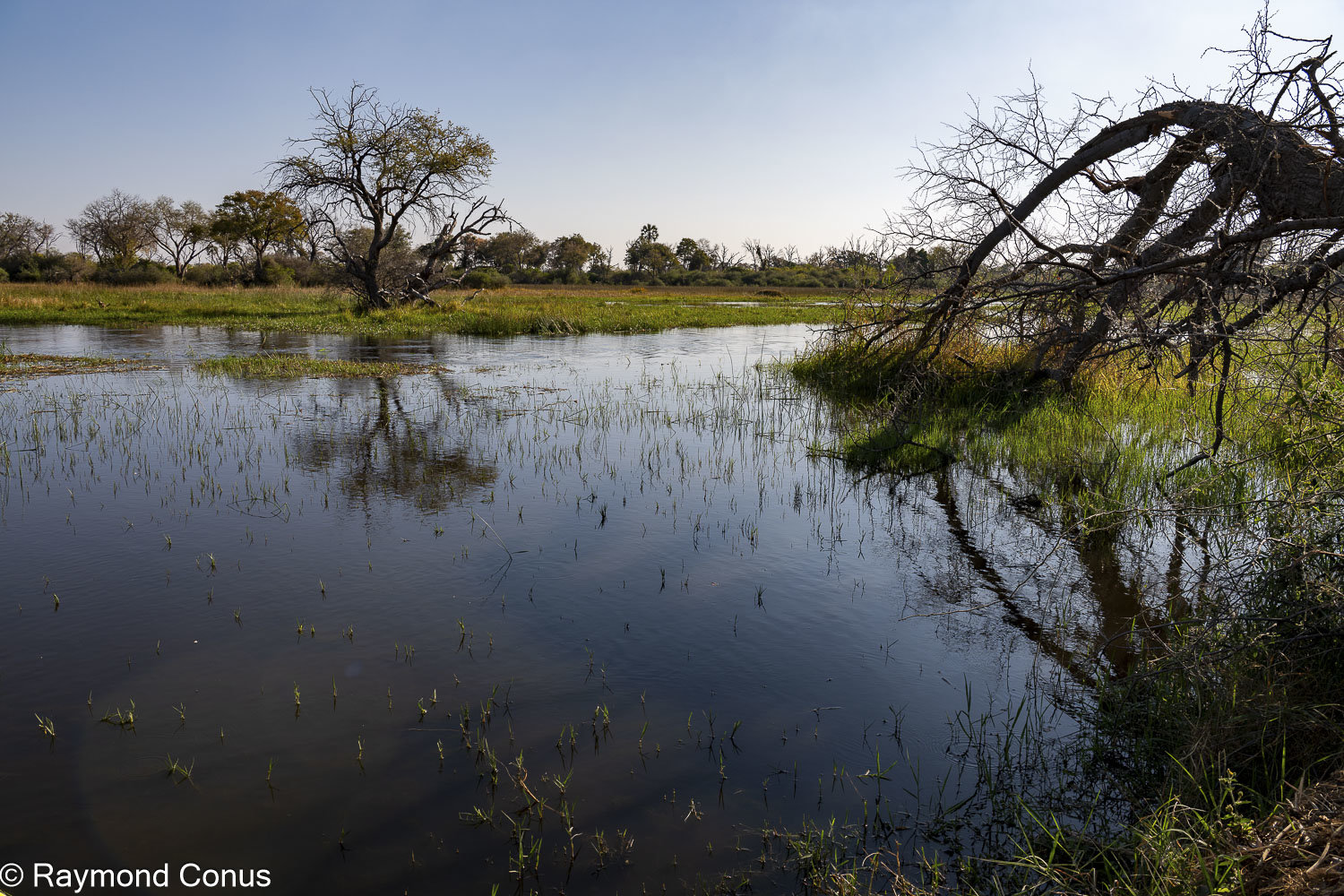 Okavango Delta (6)