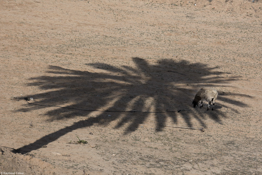 Ombres